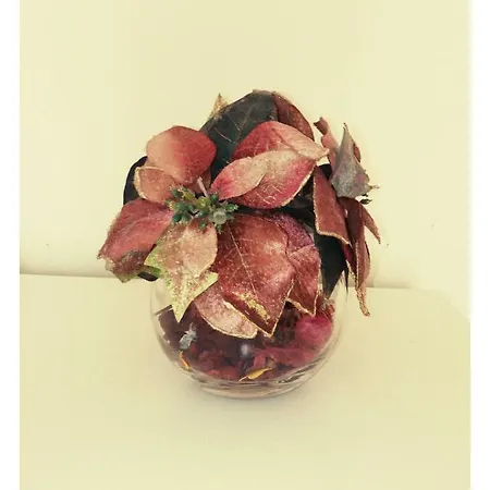 Argentiera 12 Bed and breakfast